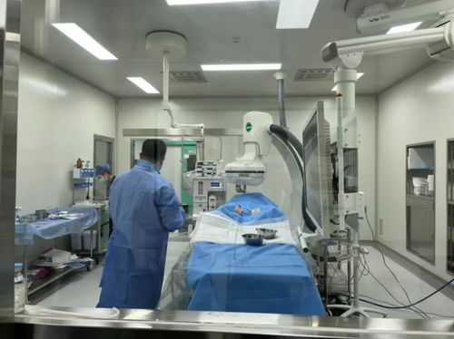 蟄伏二十載，產(chǎn)品全線出擊 獸醫(yī)醫(yī)療器械龍頭借A輪融資刷新紀錄，加速國產(chǎn)替代浪潮